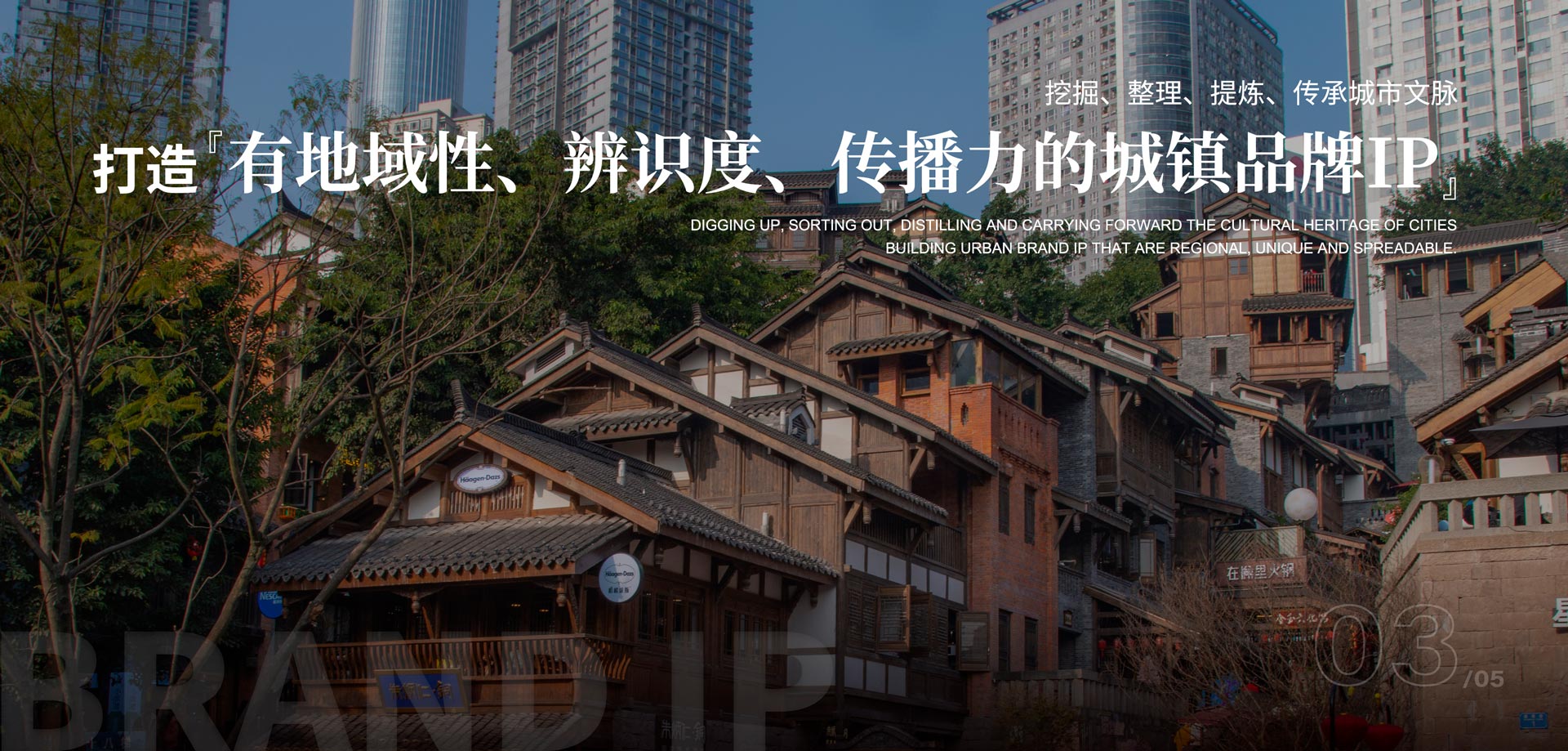 ,智慧城鎮(zhèn)運(yùn)營服務(wù)